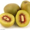 Kiwi - Actinidia Deliciosa Kiwi Wonder 2 Kiwi - Actinidia Deliciosa Kiwi Wonder -Promesse De Fleurs Actinidia deliciosa Wonder 84702 1